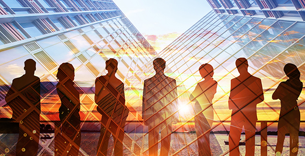 联系我们  电话：020-81366129